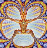 Untying The String Cheese Incident - Untying The Not