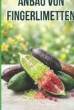 Anbau De Anbau von Fingerlimetten: Eine vollständige Schritt-für-Schritt-Anleitung zum Anbau von Fingerlimetten – von der Sortenwahl und dem Pflanzen bis hin zur Pflege, Bestäubung und Ernte