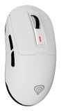 GENESIS Zircon 660 souris Gaming Droitier RF Wireless + Bluetooth + USB Type-A Optique 12000 DPI