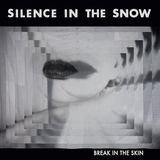 Suburban Silence in the Snow Break In The Skin