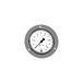 RIEGLER 101878-309/63 Standardmano, frontring verchr, G 1/4 achter, 0-40,0 bar, Ø 63, 1 stuk