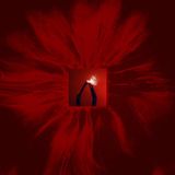 Universal Music Nederland San Francisco Ballet Orchestra & Floating Points - Mere Mortals (2 LP)