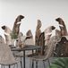 Papier peint panoramique feuilles tropicales