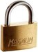 MasterLock Hangslot - Massief Messing - 40 mm - CAD40