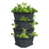 Gusta Garden PAUL POTATO STARTER Vertical planter Freestanding Polypropylene (PP) Anthracite