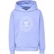 Hummel Sweat à capuche enfant Cuatro Circle