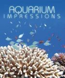 Aquarium Impressions