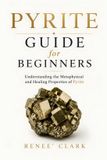Pyrite Libri GmbH Pyrite Guide for Beginners