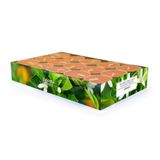 Pajoma Theelichtjes 30 stuks, Oranje