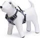 Beeztees Hondentuig Safety Gear Parinca Premium Y-Tuig - Hondenharnas - LED - Nylon - Zwart - 38-51cmx15mm