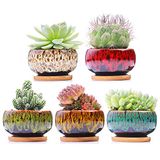Leuke keramische succulente tuinpotten, plantenbak met drainage en bevestigde schotel, set van 5 -planten niet inbegrepen (rond)
