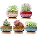Leuke keramische succulente tuinpotten, plantenbak met drainage en bevestigde schotel, set van 5 -planten niet inbegrepen (rond)