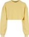 Urban Classics Cropped Flower Embroidery Terry Crewneck sweater/trui - 4XL - Geel