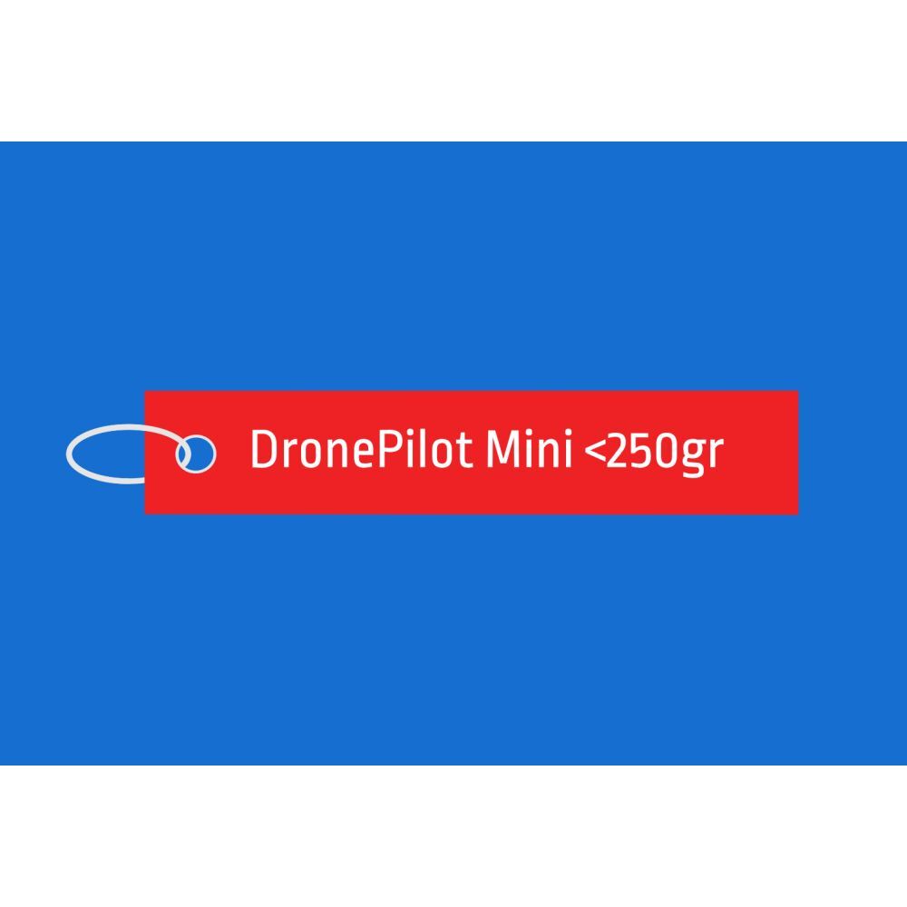 Droneflight Academy Droneflight Academy DronePilot Mini