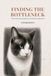 Finding the Bottleneck: Where Science Meets Experience in Performance Engineering