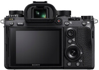 Sony A9 + FE 24-240mm F3.5-6.3 OSS