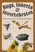 Bugs, insects & invertebrates word search: Word searches with easy to read print about ants, dragonflies, beetles and More | 6x9 inches, 120 pages | ... time, for kids, seniors, teens, all ages
