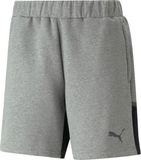 Puma Team Cup Casuals Short Heren - Grijs