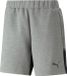 Puma Team Cup Casuals Short Heren - Grijs