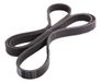 Japanparts DV-5PK1555 Courroie Poly V