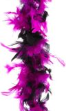 Merkloos Carnaval verkleed veren Boa zwart/roze mix - 2 meter