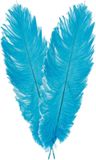 Chaks Pieten struisvogelveer/sierveer - 2x - turquoise - 55-60 cm - décoration/matériel de loisirs créatifs