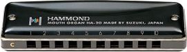 Suzuki HA-20 Hammond in A Diatonisch - Diatonische mondharmonica