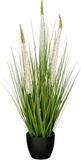 Mica Decorations Eremurus – Kunstgras in Pot – Realistische Nepplant Woondecoratie – Kunstplanten voor Binnen en Buiten – H80 x Ø25 cm – Groen, Wit