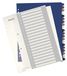 Leitz 1-20 index, A4, PC afdrukbaar, zwaar kunststof, extra breed, 12390000 - multicolore