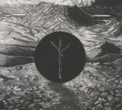 Suburban Volur Ancestors