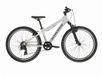 Kross Dust 1.0 24´´ Tourney Tx800 2024 VTT Gris S Garçon