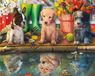 Peinture par numéro : Chiots avec réflexion de loup, 30x40 cm