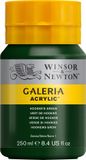 Winsor & Newton Galeria Acrylverf - Hooker's Green - 250ml