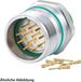 HUMMEL SET, inclusief connectoren M23, signaal, INOX, apparaatconnector, krimpkous. Rechte uitvoering, aantal polen: 12, pin aan de voorkant: 1