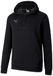 PUMA teamGOAL Hoody CE