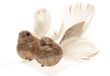 Cosy @ Home 2x stuks decoratie vogels op clip glitter champagne 11 cm