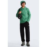 The North Face Evolution Simple Dome sweater - groen