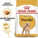 ROYAL CANIN Poodle Adult 3 kg