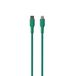 PURO PUCAPLTUSBCICONDKGRN Lightning-kabel 1,5 m Groen