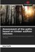 Assessment Our Knowledge Publishing Assessment of the paths based on timber outflow volumes: Using the example of the Schwarzburg mining district in Thuringia Paperback