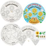 Baker Ross FN468 Zonnebloem Levenscyclus Stickerwielen - Set van 5