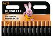 Duracell Plus AA - piles alcalines - 1,5V, LR6 - 12 pièces