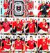 Austria FIFA World Cup 2026 Panini set of 12 cards