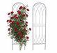 Relaxdays rankrek, set van 2, HxB: 140 x 38 cm, staal, klimsteun voor klimplanten, tuin, rozen, zwart