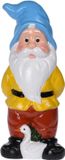 Merkloos / Sans marque Pro Garden Tuinkabouter - met gans - Polystone - 40 cm