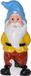 Merkloos / Sans marque Pro Garden Tuinkabouter - met gans - Polystone - 40 cm