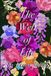 The Libri GmbH The Web of Life: The Forsaken Series Book 2