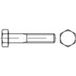 TOOLCRAFT Zeskantbout M16 110 mm Buitenzeskant DIN 960 Staal 25 stuk(s)