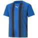 Puma Kinder Sportshirt Team Liga Striped