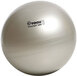 Togu Powerball ABS fitnessbal L grijs - 4006226011130